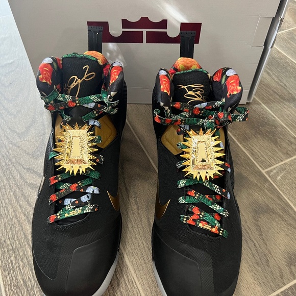 Lebron IX “Watch the throne” shoes, size 15 - Picture 1 of 3